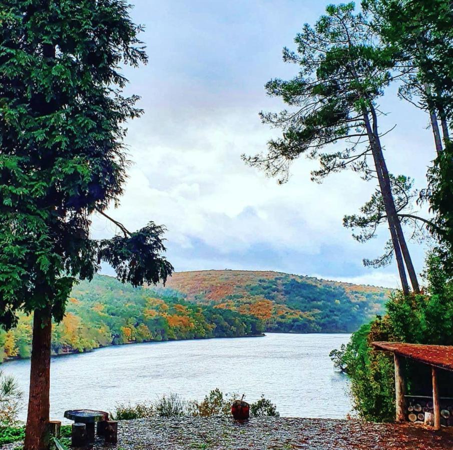 Ò FaYa Cottage votre Gîte calme et verdoyant Saint-Mayeux Extérieur photo